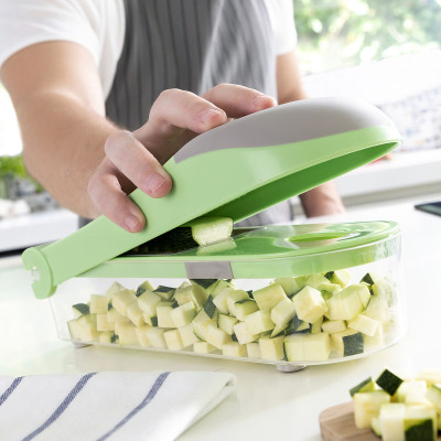 7 in 1 vegetable cutter, grater and mandolin with recipes and accessor