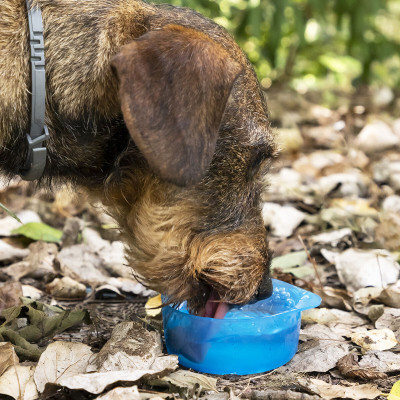 2-in-1 bottle with water and food containers for pets Pettap InnovaGoo