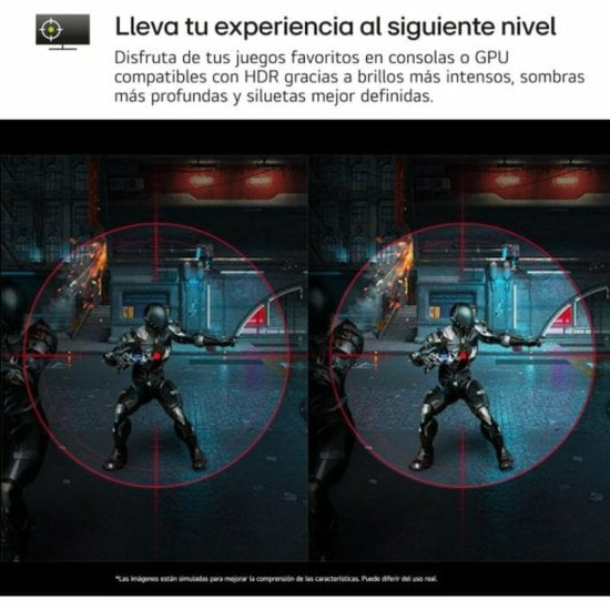 Gaming Monitor LG 27GS60F-B Full HD 27"