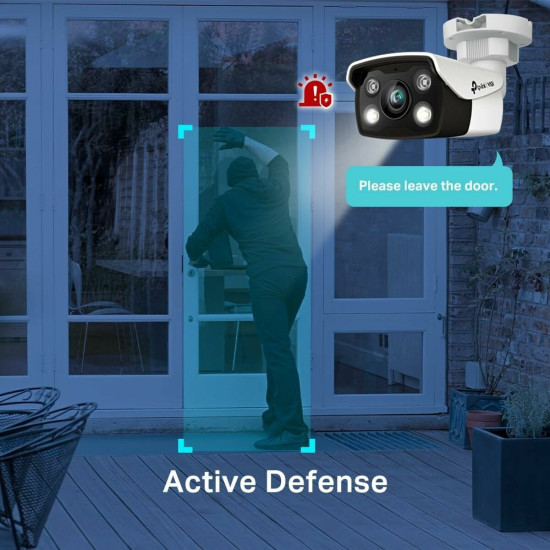 Surveillance Camcorder TP-Link VIGI C350(4MM)