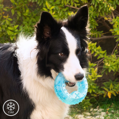 2-in-1 Freezable Pet Chew Toy Glubiz InnovaGoods 2-in-1 Freezable Pet Chew Toy Glubiz InnovaGoods