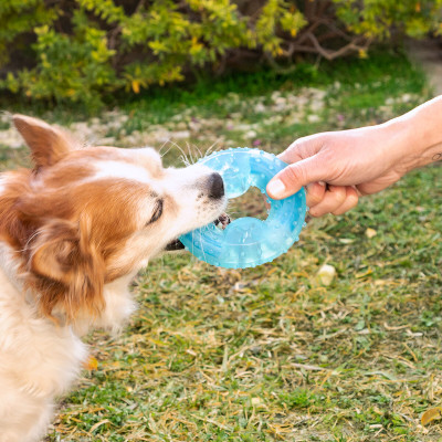 2-in-1 Freezable Pet Chew Toy Glubiz InnovaGoods 2-in-1 Freezable Pet Chew Toy Glubiz InnovaGoods