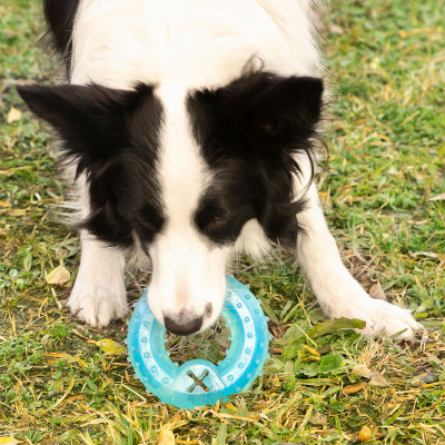 2-in-1 Freezable Pet Chew Toy Glubiz InnovaGoods 2-in-1 Freezable Pet Chew Toy Glubiz InnovaGoods