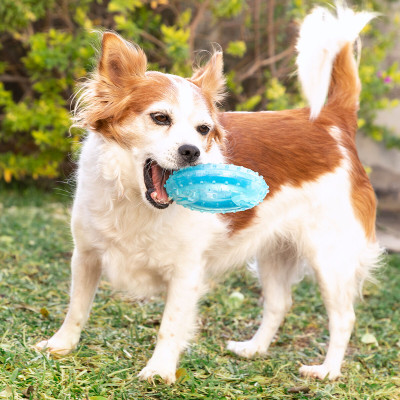 2-in-1 Freezable Pet Chew Toy Glubiz InnovaGoods 2-in-1 Freezable Pet Chew Toy Glubiz InnovaGoods