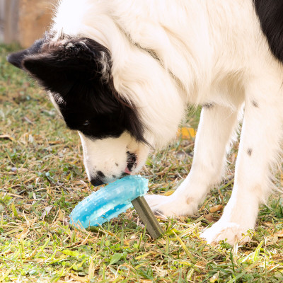 2-in-1 Freezable Pet Chew Toy Glubiz InnovaGoods 2-in-1 Freezable Pet Chew Toy Glubiz InnovaGoods