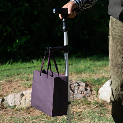 Extendable Walking Stick with LED, Alarm and Grabber Hannde InnovaGood