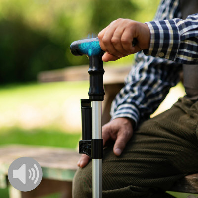 Extendable Walking Stick with LED, Alarm and Grabber Hannde InnovaGood